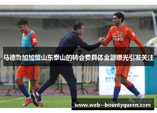 马德鲁加加盟山东泰山的转会费具体金额曝光引发关注