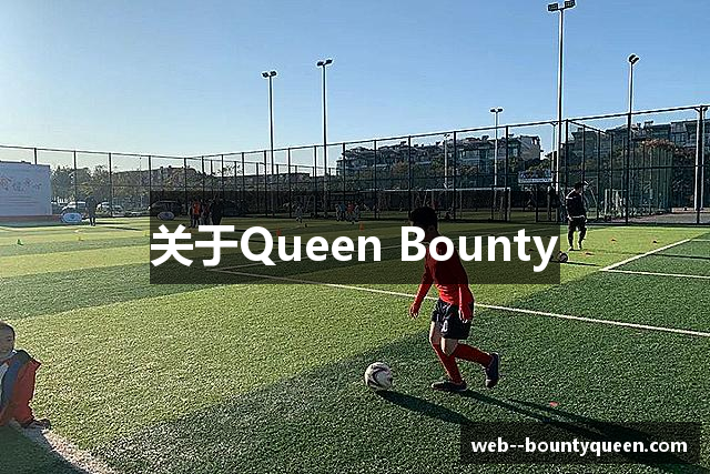 关于Queen Bounty